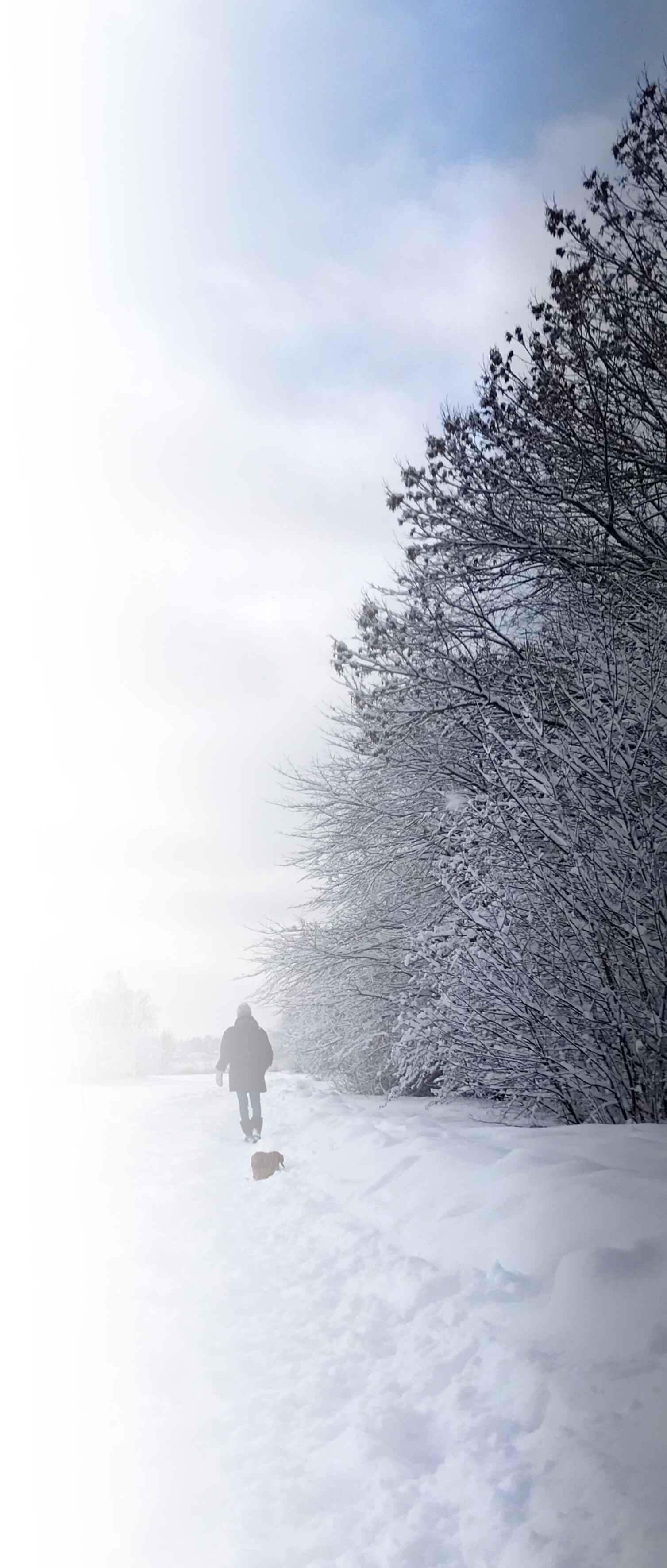 Winter day in Stockholm